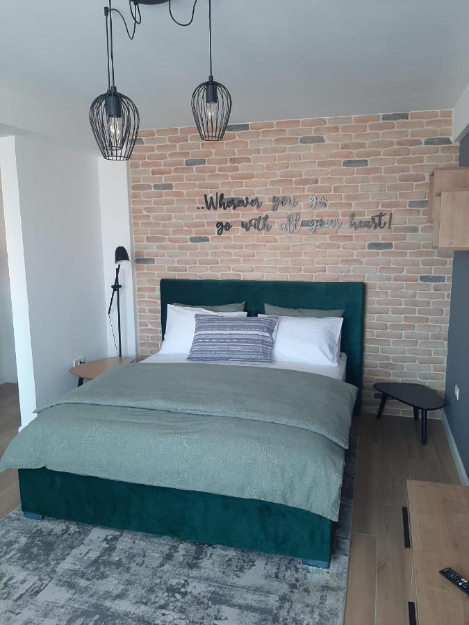City Center View Studio Apartment 1 Timisoara Exterior photo